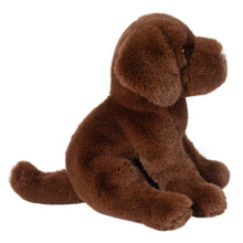 Load image into Gallery viewer, Chocolate Lab