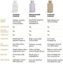 Load image into Gallery viewer, Goldie Locks Brilliant Blonde Purple Shampoo