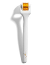 Load image into Gallery viewer, Goldie Locks Micro-Needle Derma Roller Kit