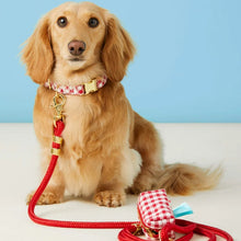 Load image into Gallery viewer, Ruby Marine Rope Dog Leash