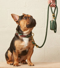 Load image into Gallery viewer, Holly Jolly Plaid Flannel Dog Collar