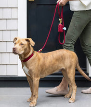 Load image into Gallery viewer, Ruby Waxed Canvas Waste Bag Holder
