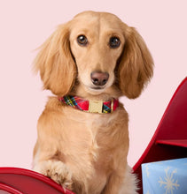 Load image into Gallery viewer, Tartan Plaid Flannel Dog Collar