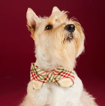 Load image into Gallery viewer, Eggnog Plaid Flannel Bow Tie Collar