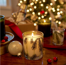 Load image into Gallery viewer, Frasier Fir Pine Needle Boxed Candle