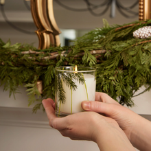 Load image into Gallery viewer, Frasier Fir Pine Needle Boxed Candle