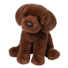 Load image into Gallery viewer, Chocolate Lab
