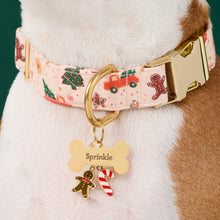 Load image into Gallery viewer, Candy Cane Collar Charm
