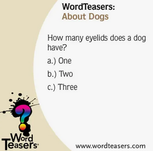 About Dogs Wordteaser TRIVIA game