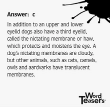 Load image into Gallery viewer, About Dogs Wordteaser TRIVIA game
