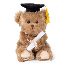 Load image into Gallery viewer, Graduation Bear

