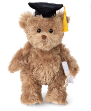 Load image into Gallery viewer, Graduation Bear
