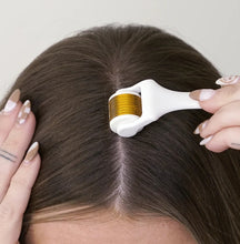 Load image into Gallery viewer, Goldie Locks Micro-Needle Derma Roller Kit
