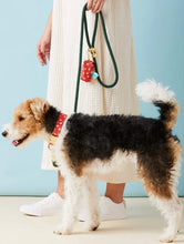 Load image into Gallery viewer, Evergreen Marine Rope Dog Leash
