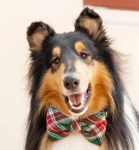 Load image into Gallery viewer, Holly Jolly Plaid Flannel Bow Tie Collar
