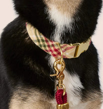 Load image into Gallery viewer, Eggnog Plaid Flannel Dog Collar
