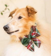 Load image into Gallery viewer, Holly Jolly Plaid Flannel Lady Bow Collar
