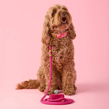 Load image into Gallery viewer, Hot Pink Marine Rope Dog Leash
