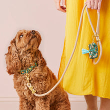 Load image into Gallery viewer, Flax Marine Rope Dog Leash
